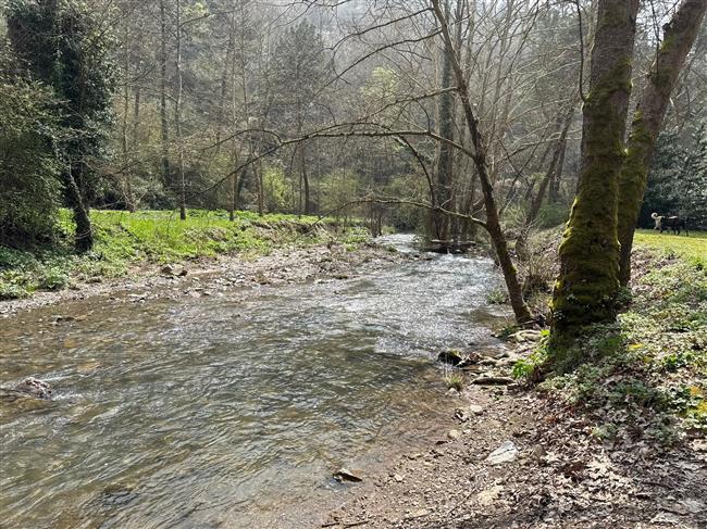 UMUTTEPE KOLAY  DOĞA YÜRÜYÜŞÜ